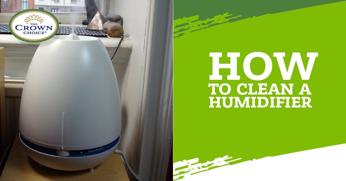 How To Clean A Humidifier - The Best And Most Thorough Way - The Crown ...