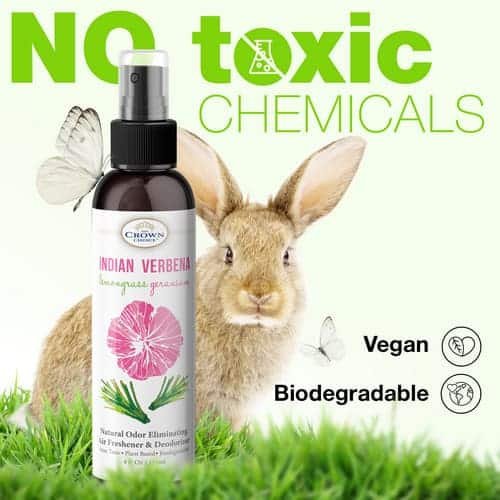 Green Air Freshener Spray: Why and How to Use It 2 green air freshener spray is non toxic