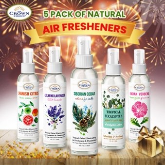natural air freshener new year