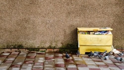 The Best Sponge Alternative - Why I'm Ecstatic To Throw My Smelly Sponges Away 2 yellow garbage receptacle